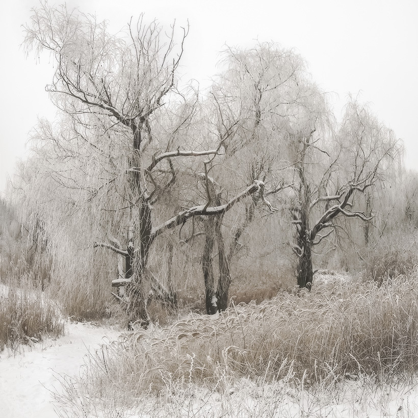 Von den Winterflugplan