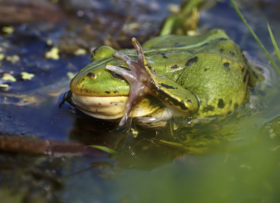 "Du bist mir peinlich ..."