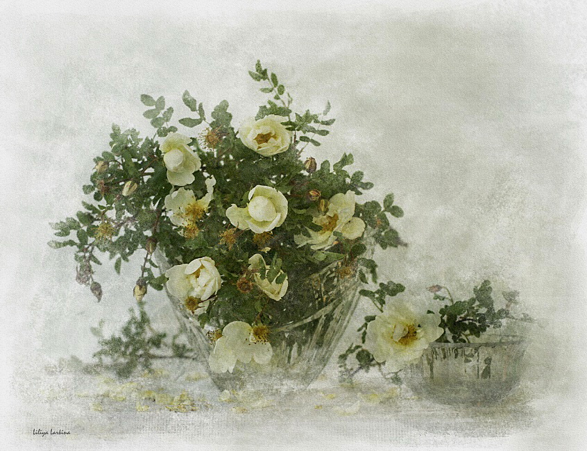 Remembering letztjährigen Mai ...