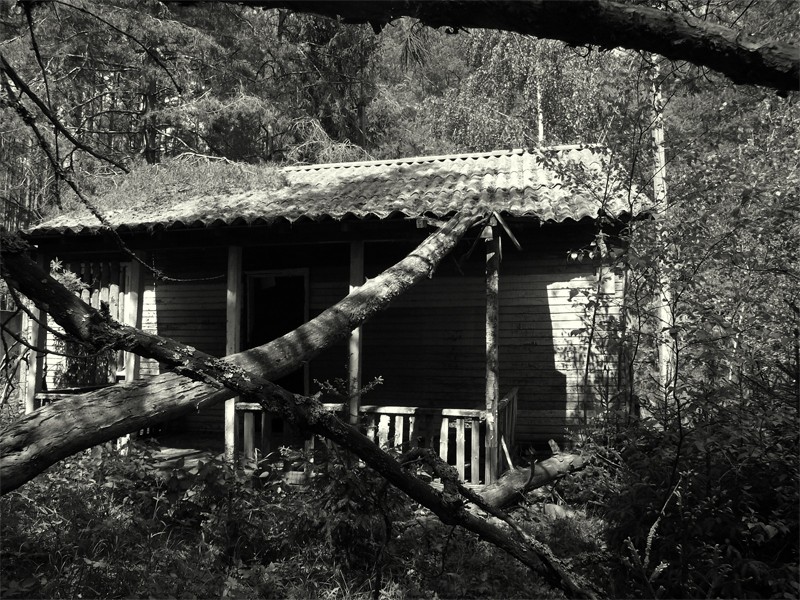 Kindheit vergessen ....