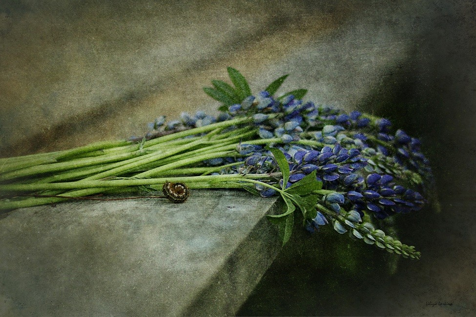 Mai-Abend ... eines Tages ...