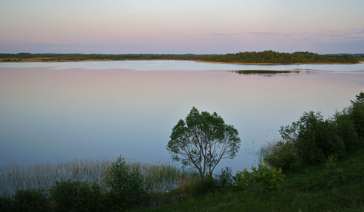 in leuchtenden Farben