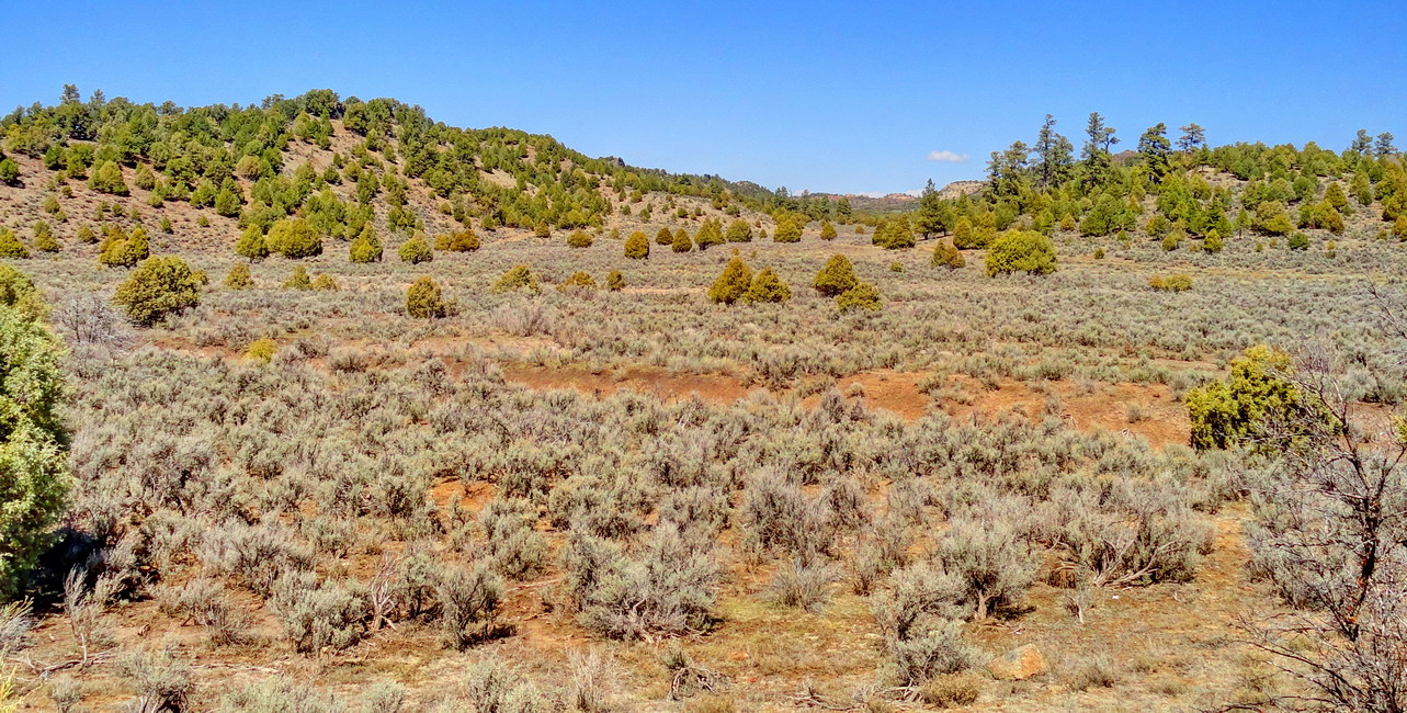 Palette von Colorado