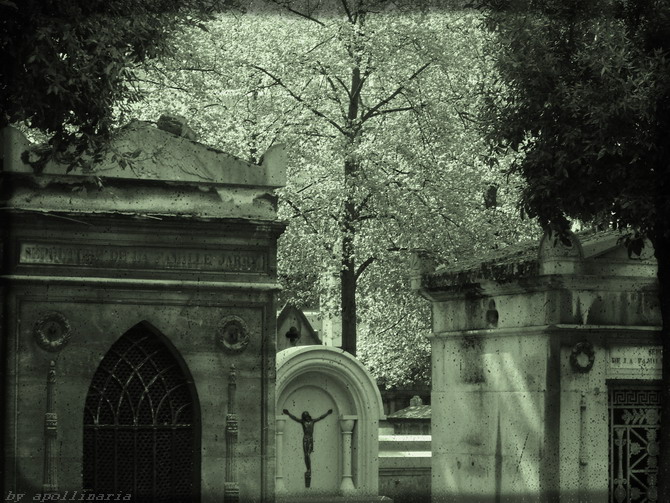 La Force Du Silence #2