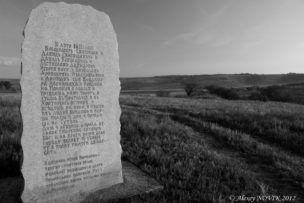 ...Те, кто приняли трудный бой, стали просто землей и травой.	 [репост]