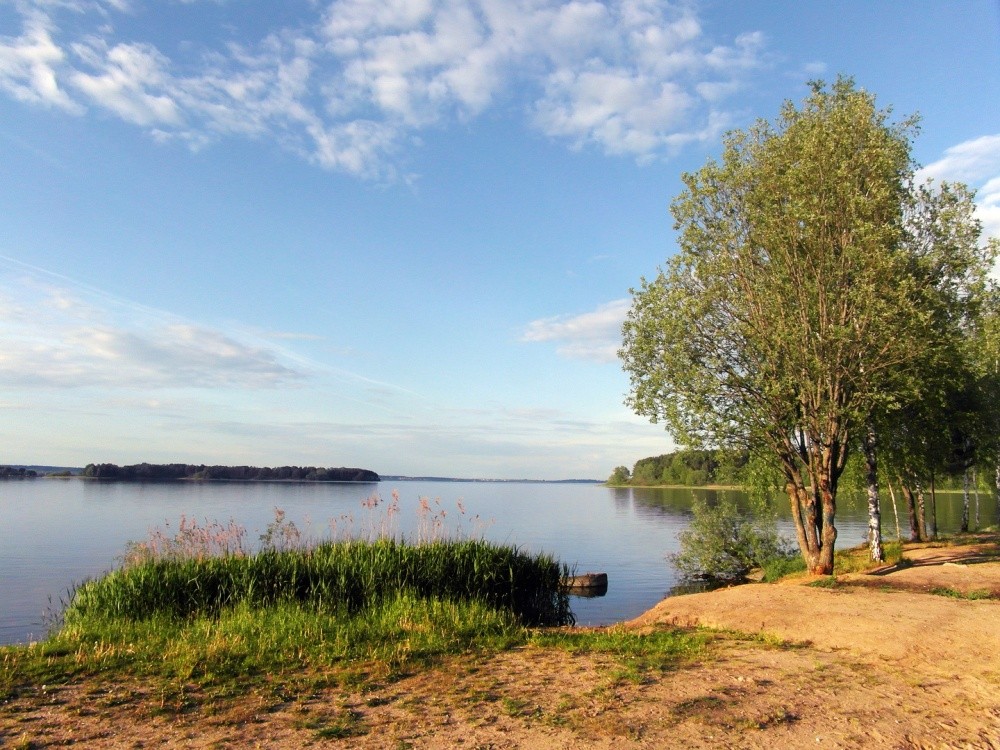 Der Beginn des Sommers