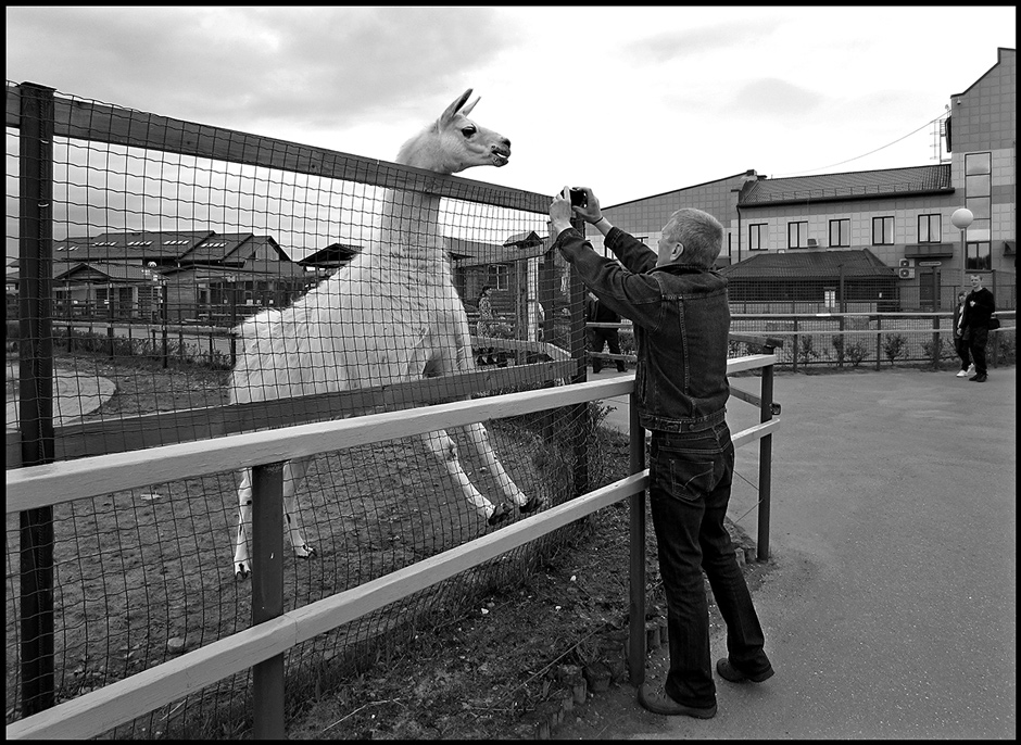 "Und ich bin hübsch?"