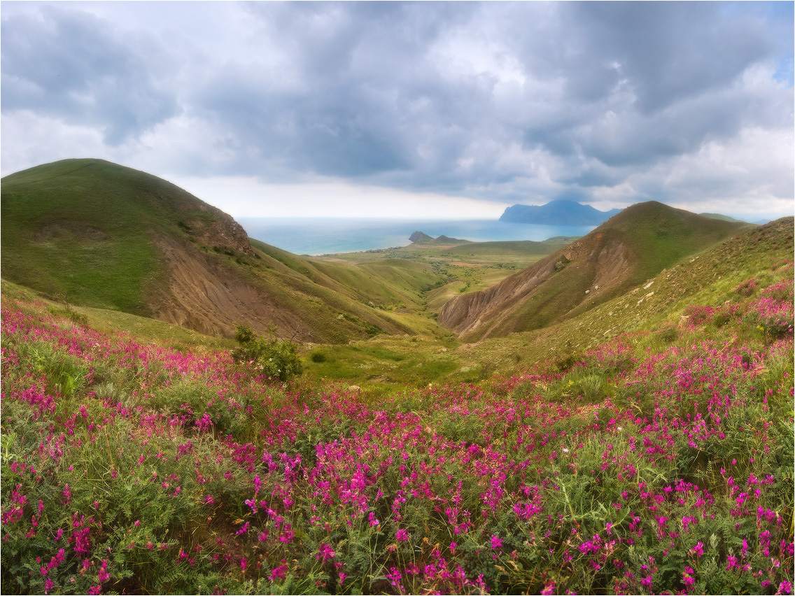 Frühling auf der Krim .................