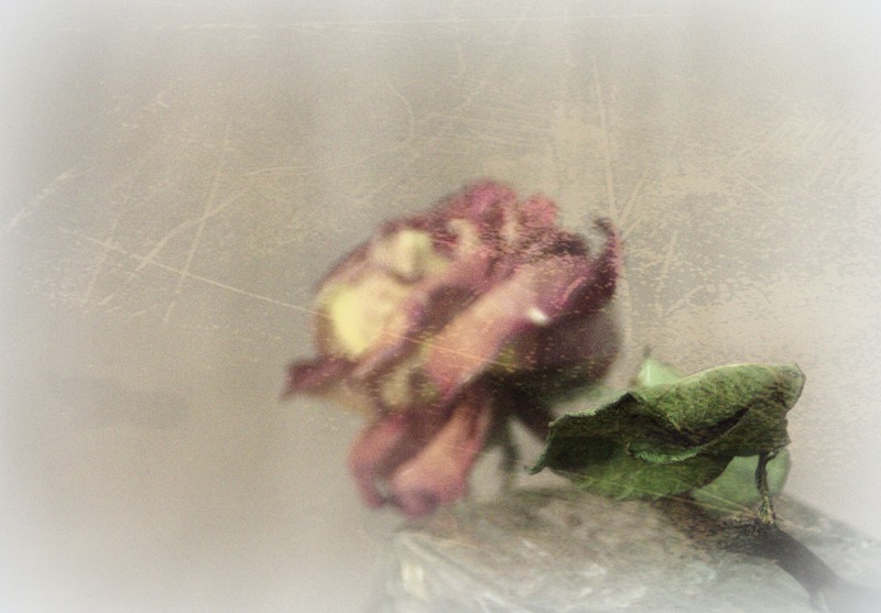 Жить! Хочется жить...!!!!!!