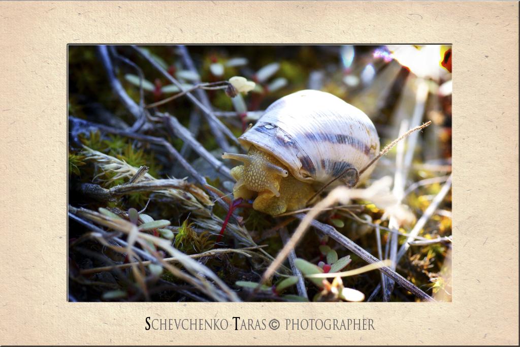 Das Haus wo ich wohne