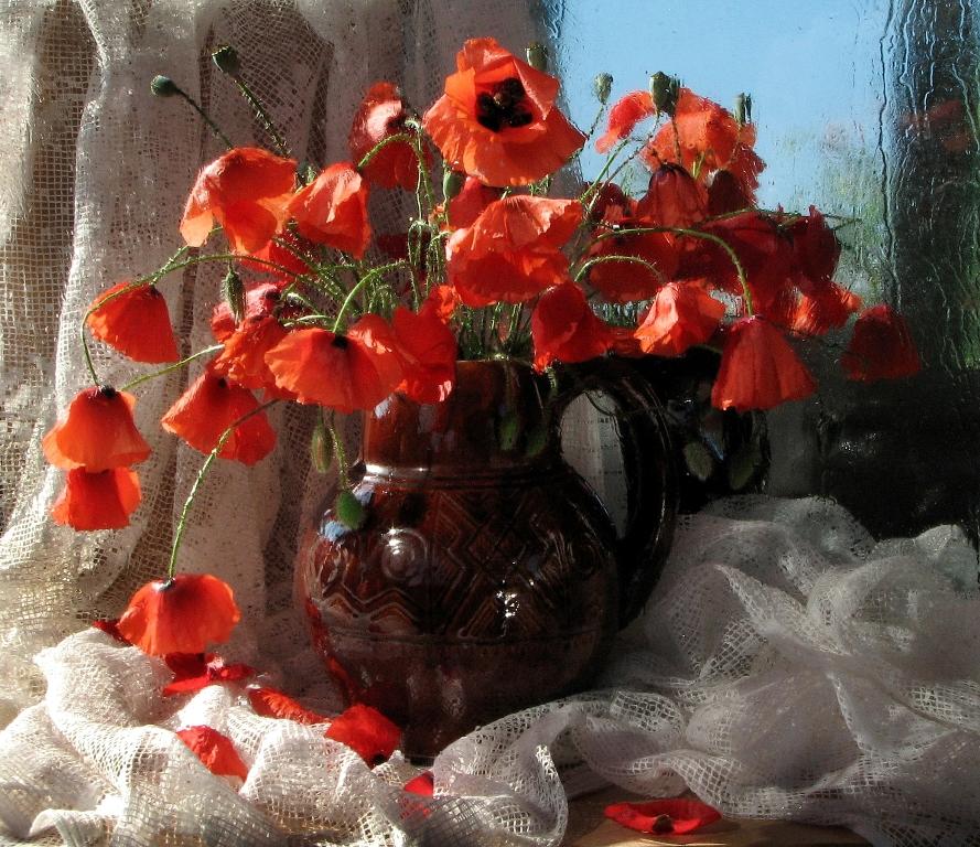 Überfliegen Sie die letzte maki ...