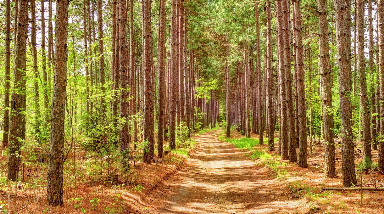 Frühling in Ganaraske