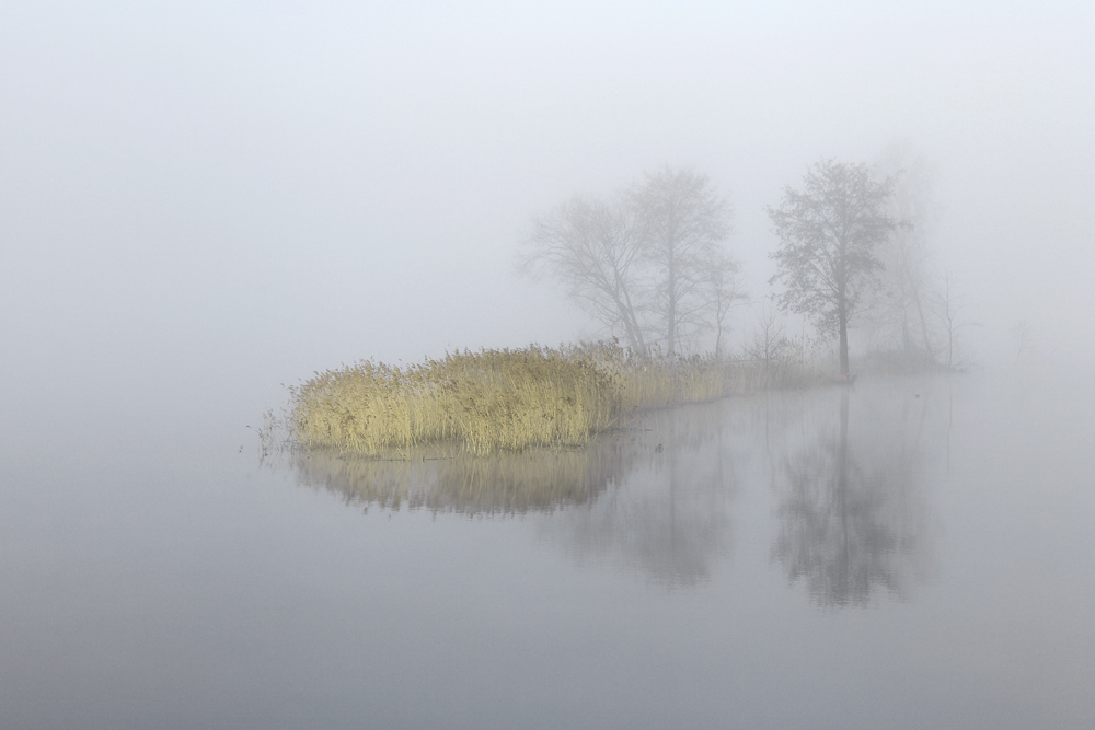 Früh am nächsten Morgen in der Dämmerung