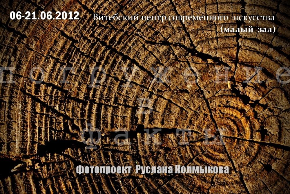 " Погружение в  факты "