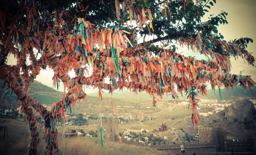 Die Hoffnungen auf ein Traum ...