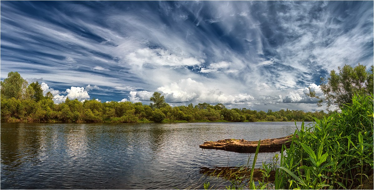 Der Kopf des Drachen