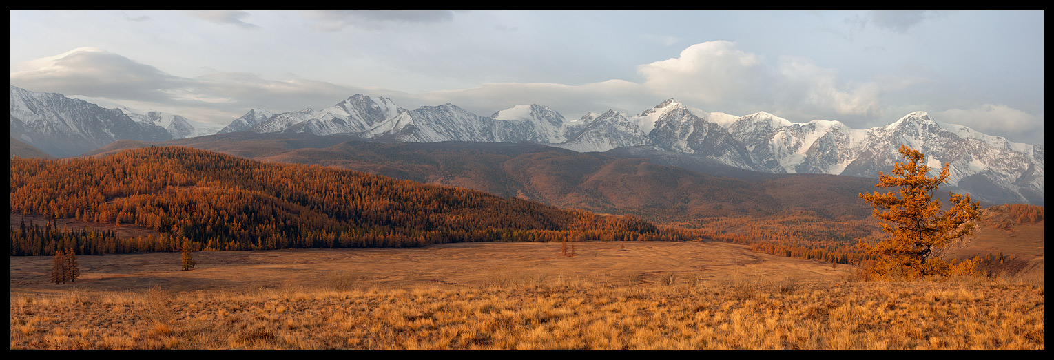 Goldener Herbst Altai.