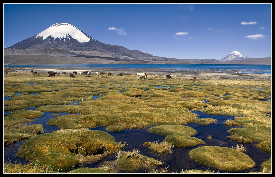 Parinacota Vulkan (2)