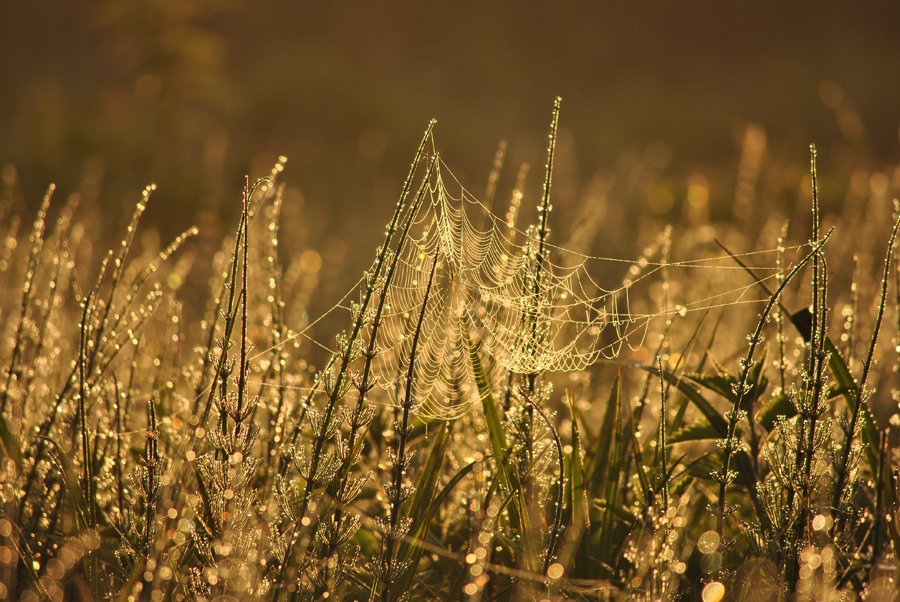 Ein zerbrechlicher Frieden ...