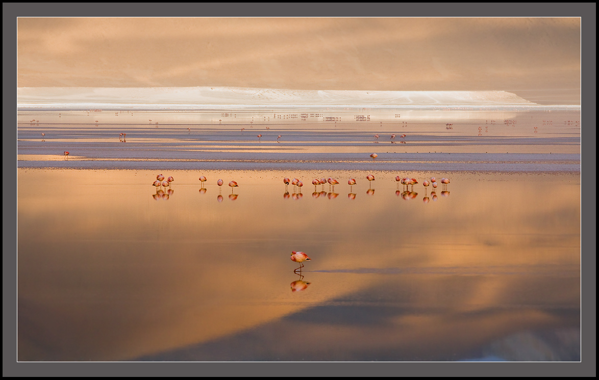 Die Begegnung ein neuer Tag ....