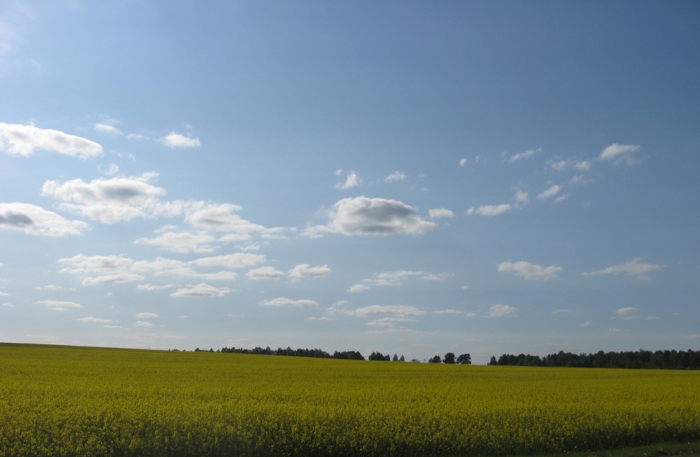 Zwischen Himmel und Erde ...