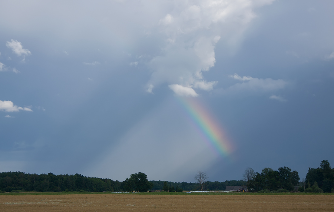 Regenbogen