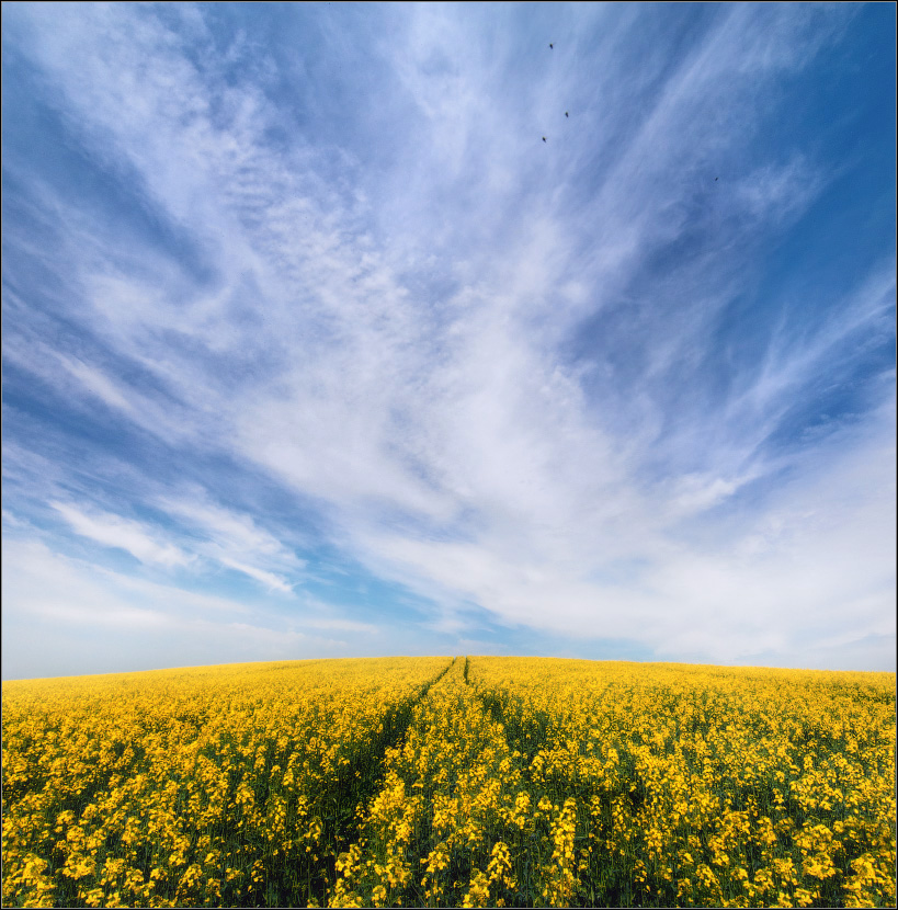 / Auf der Straße mit Wolken ... /