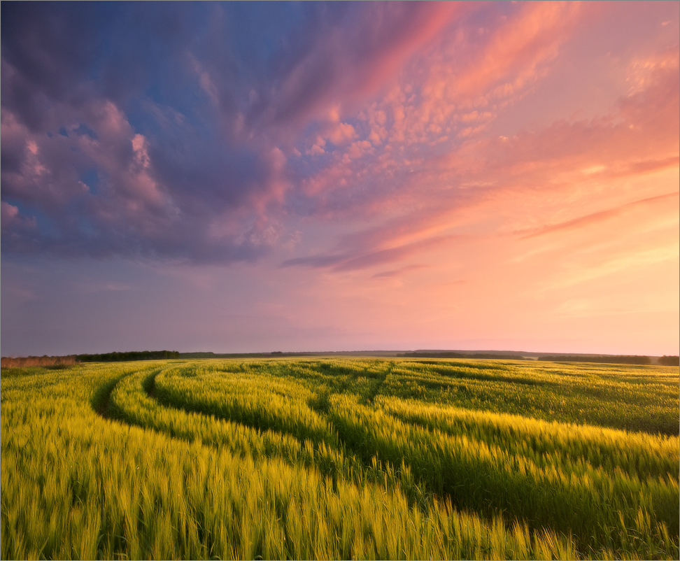 Gold-Sonnenuntergang