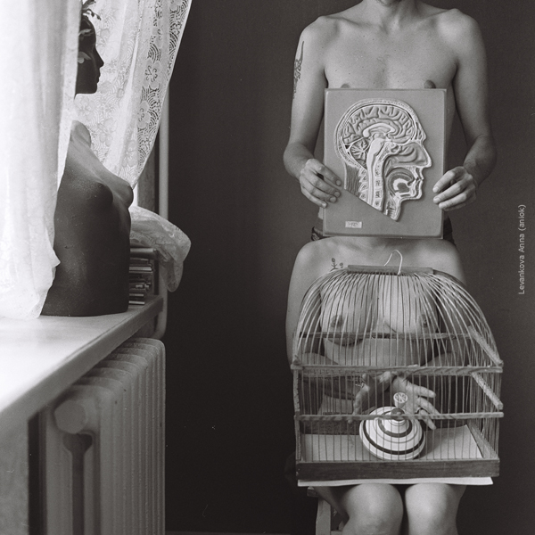 Mögliche Antworten: ein Bild Nummer 3