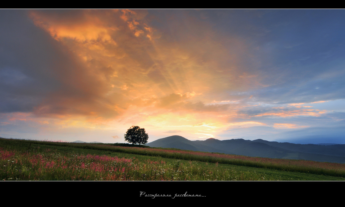 Gedreht Morgengrauen ...