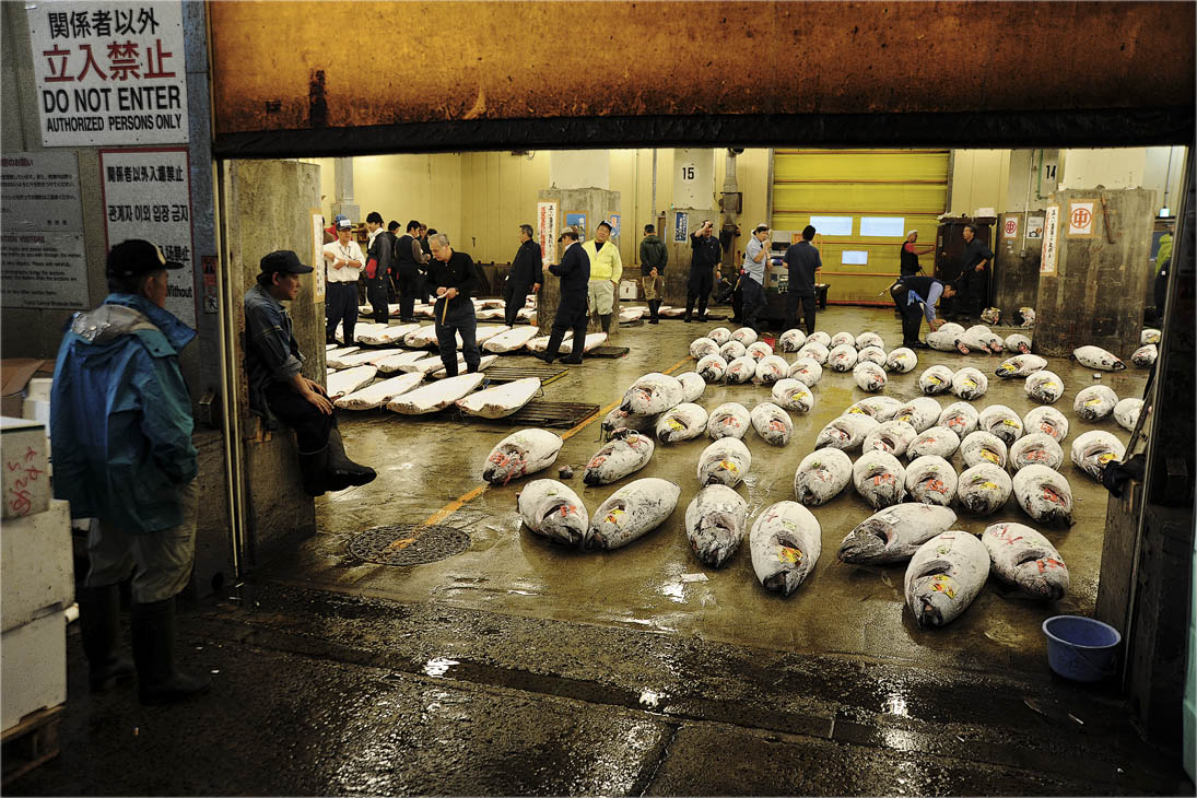 Morgen am Tsukiji