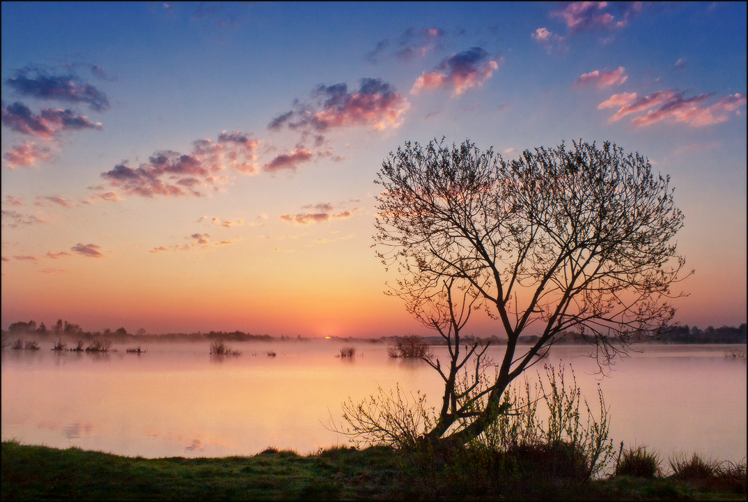 Die ersten Strahlen der