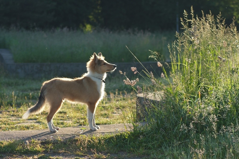 Die große Versuchung