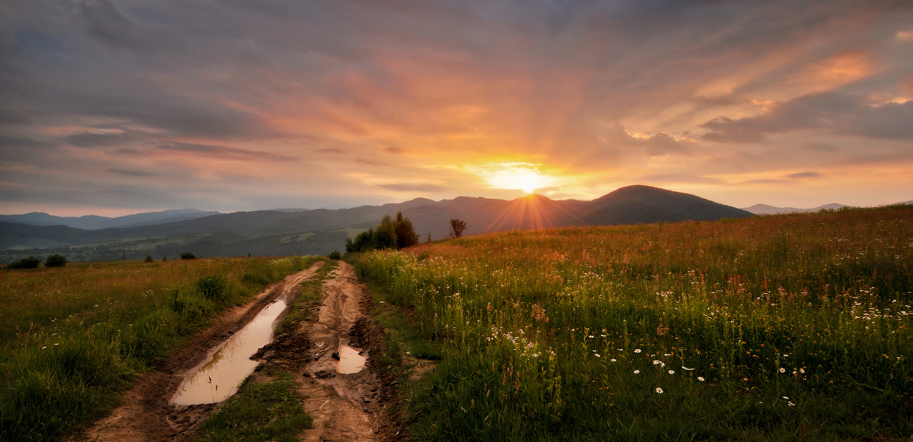 Der Weg zur Sonne ...