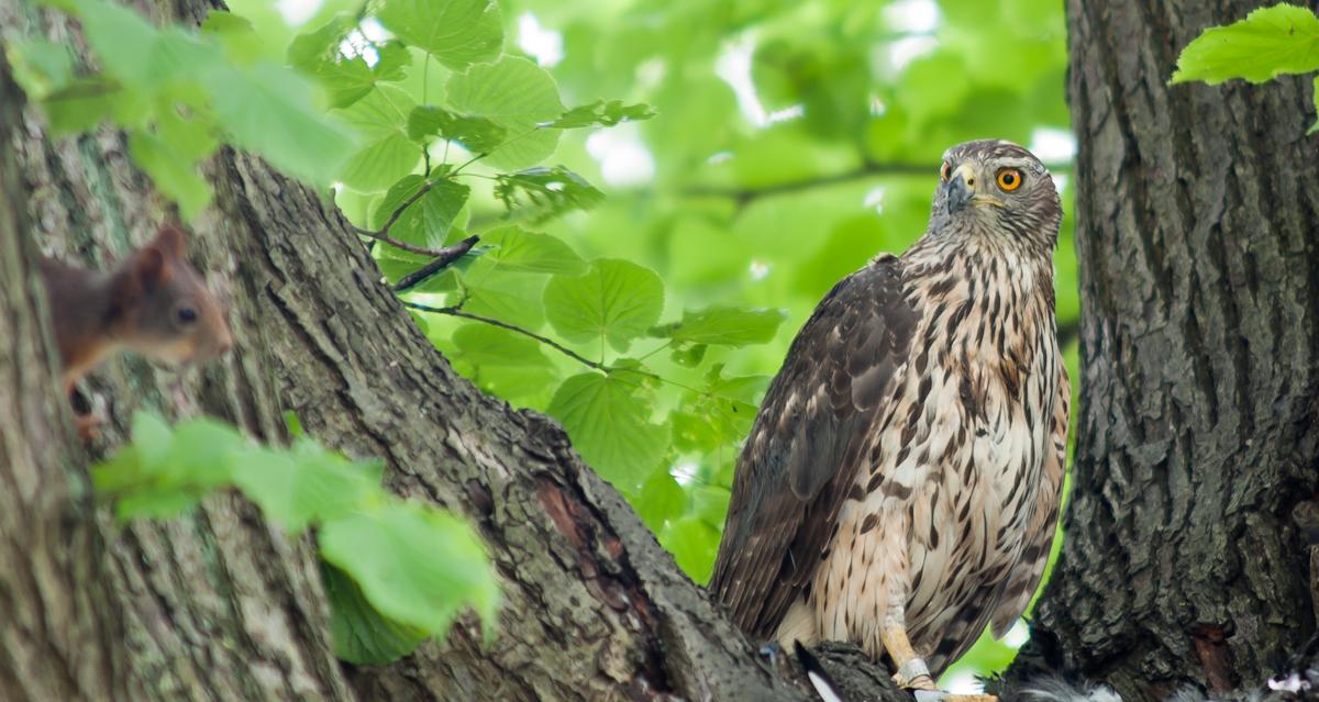 Oh! Und das ist, was? Auch das Essen?