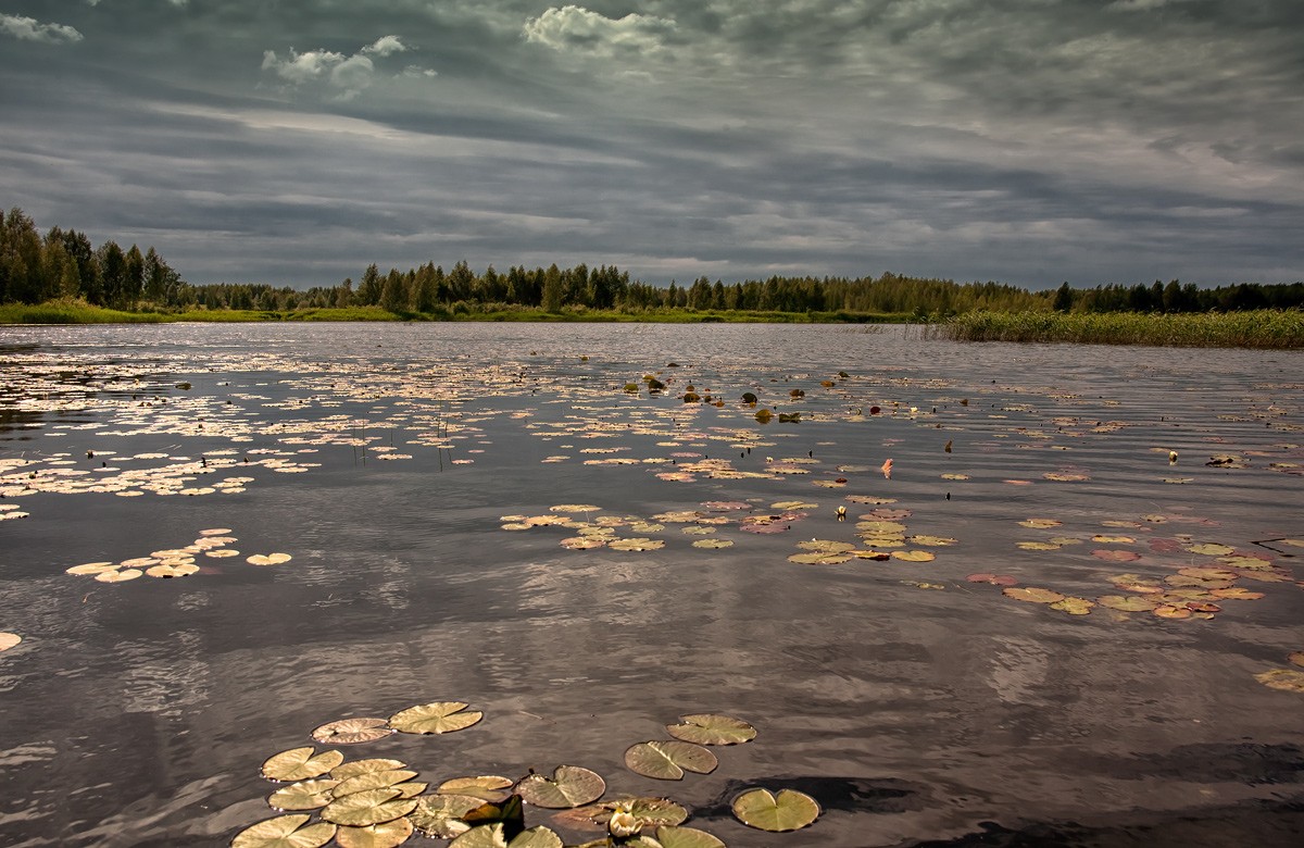 Paradies für Angler ....