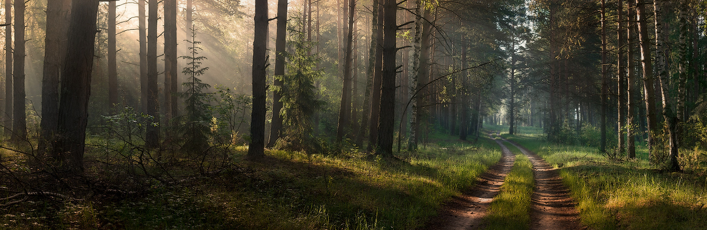 Auf der Suche nach einem Grundstück