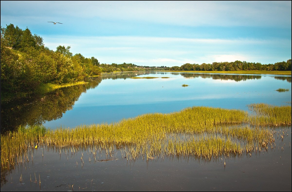 der Vogel geflogen ist ...