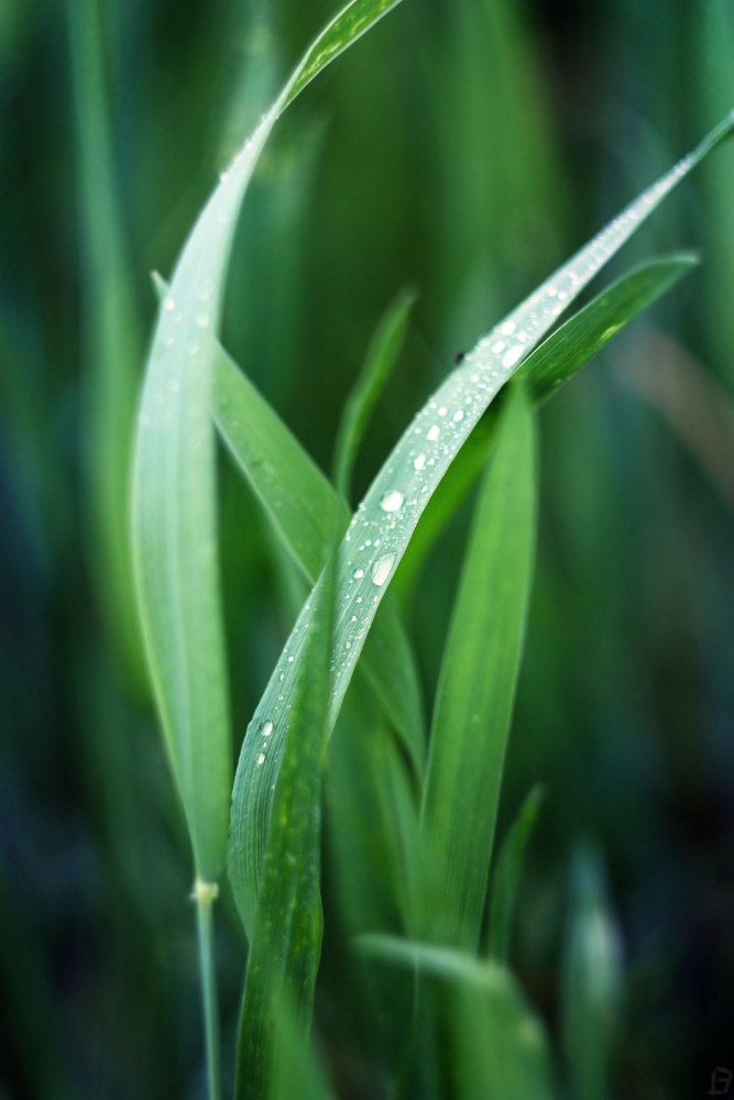 frisch nach dem Sturm