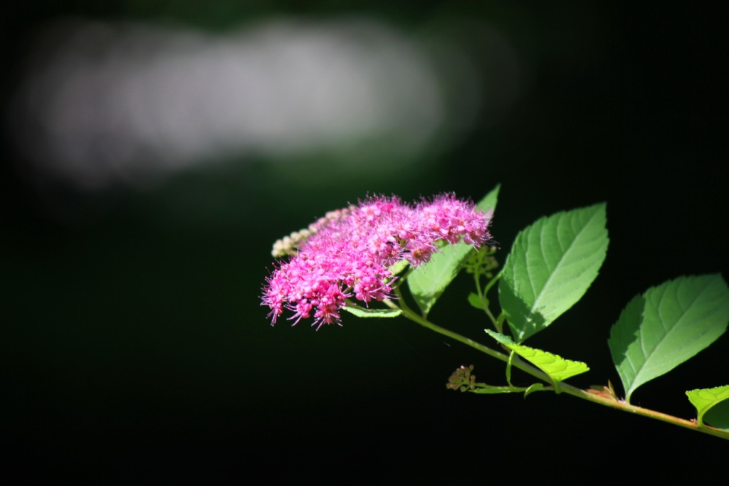 In den düsteren Tiefen