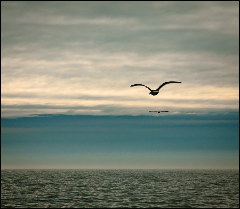 bis zum Horizont ...