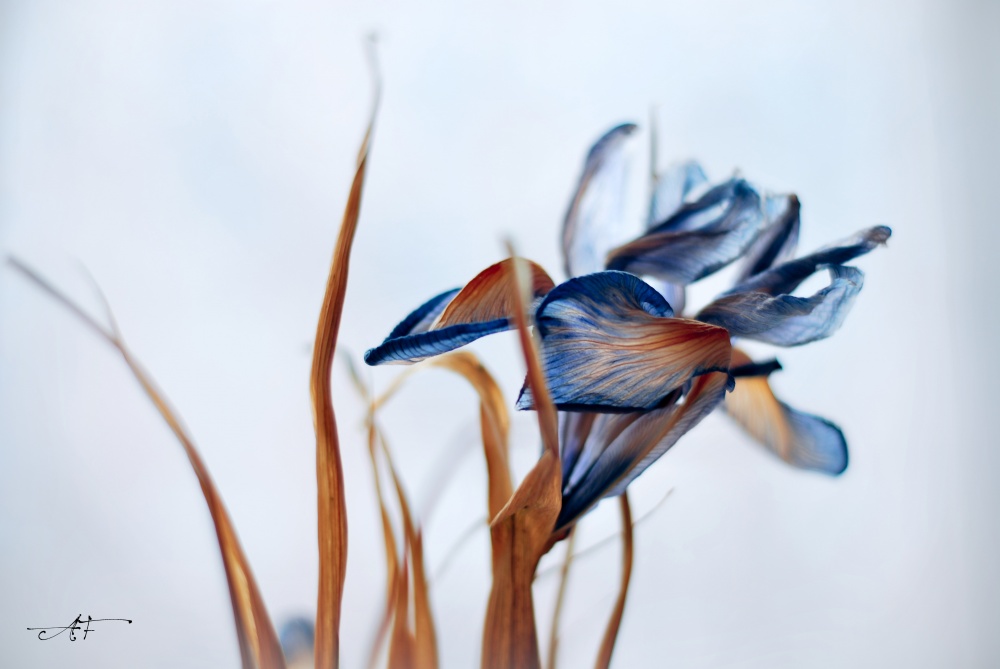 Beskonechnost.Zhizn.