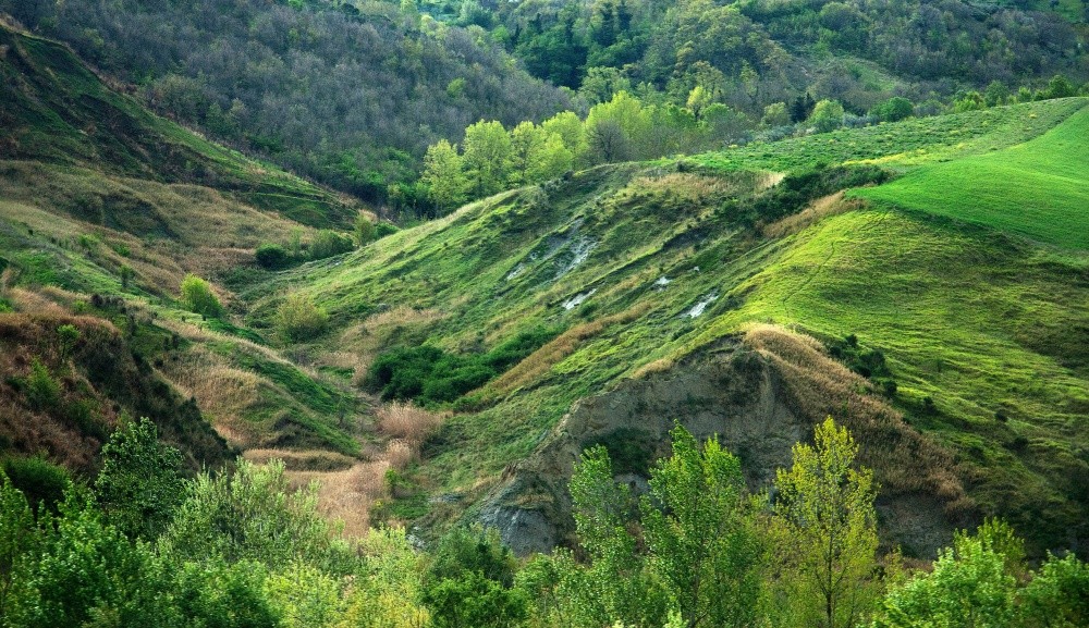 Landschaften mit einer Geschwindigkeit von 250 km / h