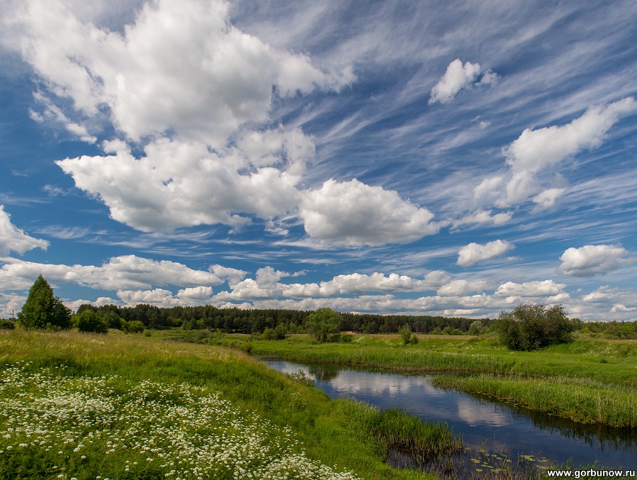 Sommer auf der mittleren Spur