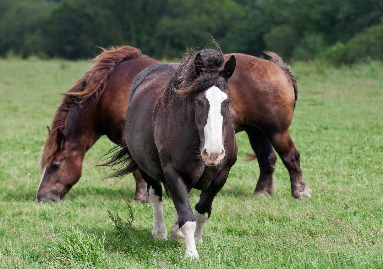 Ein zufälliges Treffen