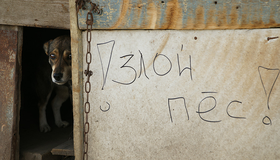 Und die Menschen lügen ...