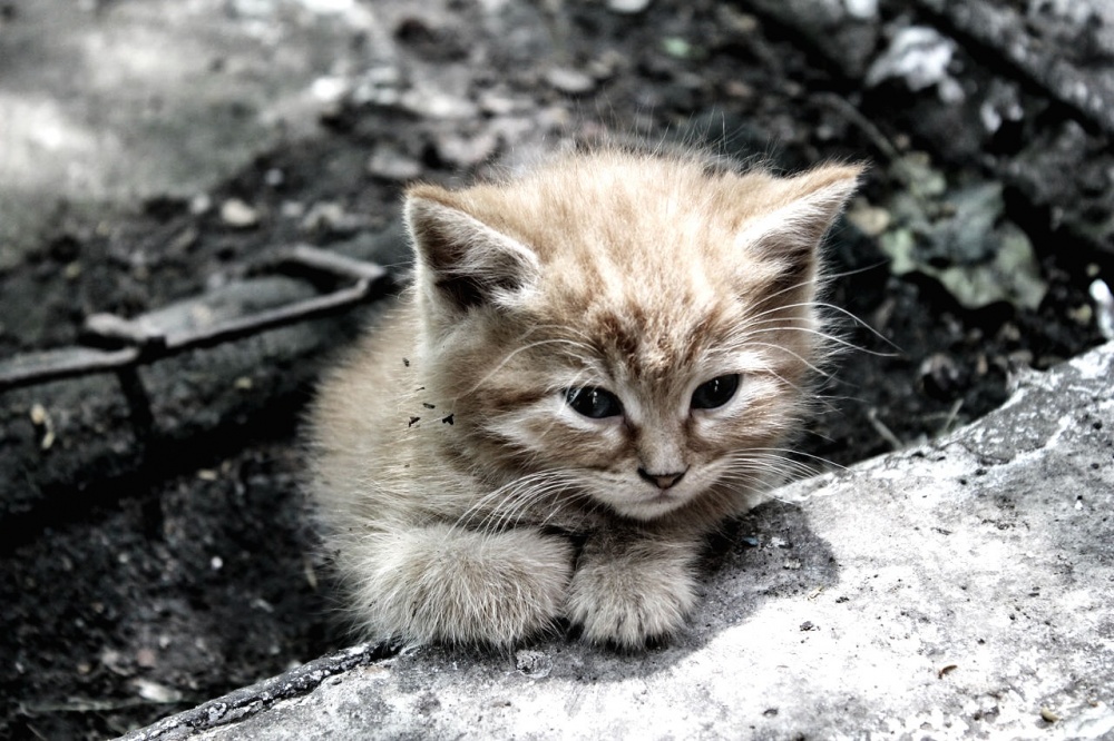 Ich habe keine Verwendung ....