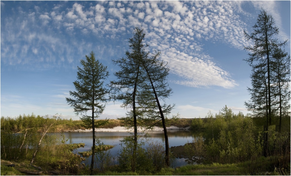 Sommer auf der Halbinsel Taimyr