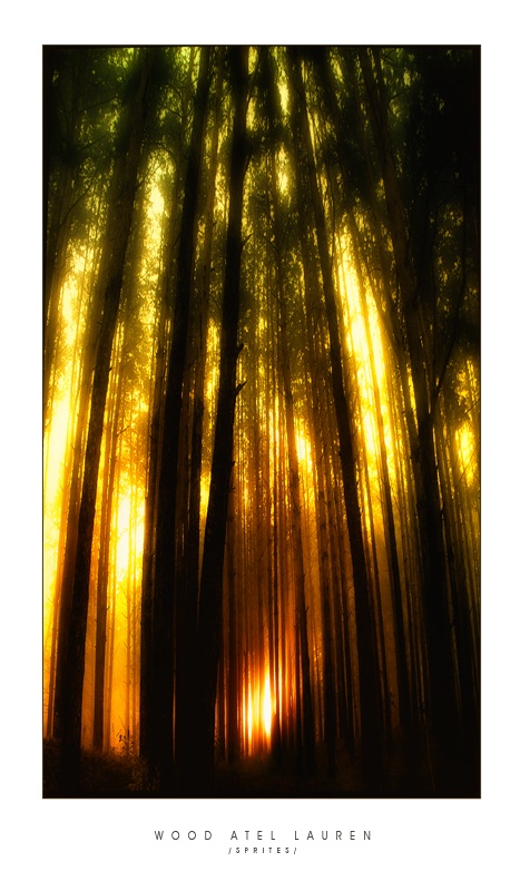 Forest Hotel Loren (Sprite)