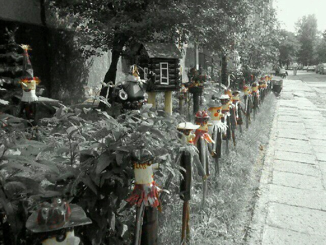 im Leben von einem sehr coolen Look